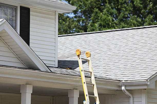 Affordable Siding Repair and Maintenance Services in Chillicothe, MO